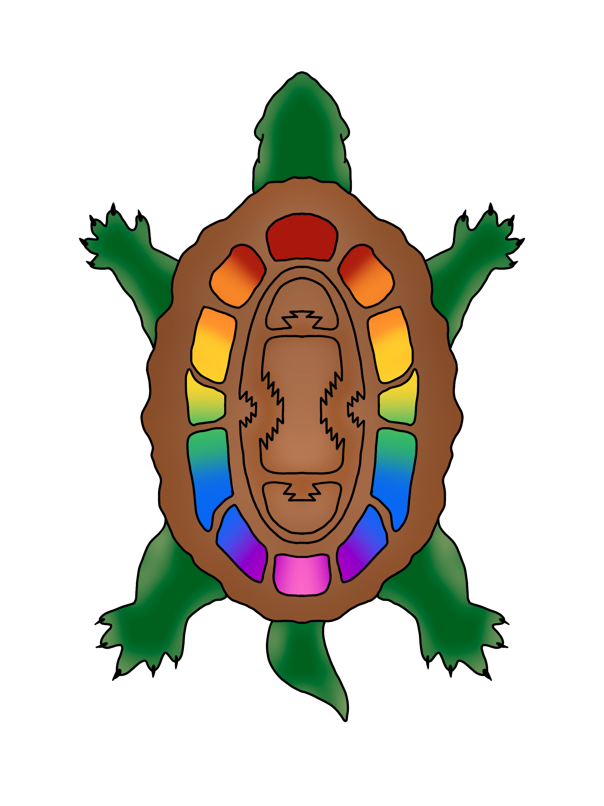 PROJECT RAINBOW TURTLE